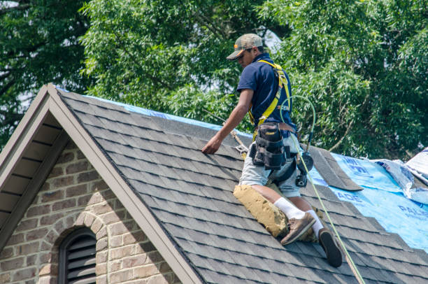 Best Roof Waterproofing Services  in Vandalia, MO